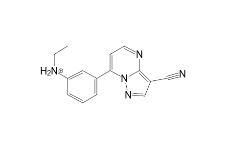 Zaleplone MS3_1