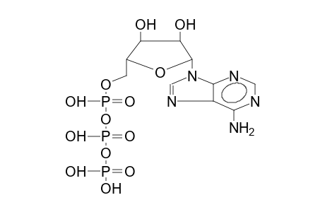 ADENOSINE-5'-O-TRIPHOSPHATE