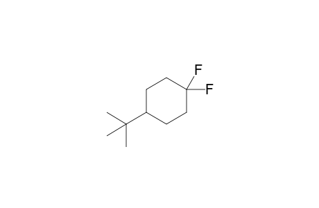 4-tert-Butyl-1,1-difluorocyclohexane