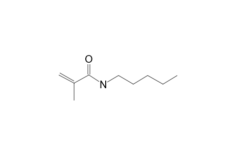 Methacrylamide, N-pentyl-