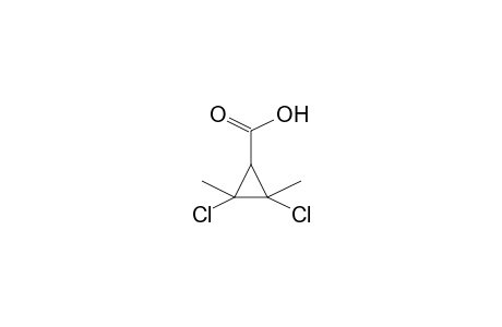 2,3-Dichloro-2,3-dimethylcyclopropanecarboxylic acid