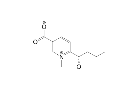 6-1-(HYDROXYBUTYL)-1-METHYL-PYRIDINIUM-3-CARBOXYLATE