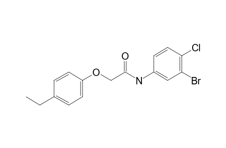 N-(3-Bromo-4-chlorophenyl)-2-(4-ethylphenoxy)acetamide