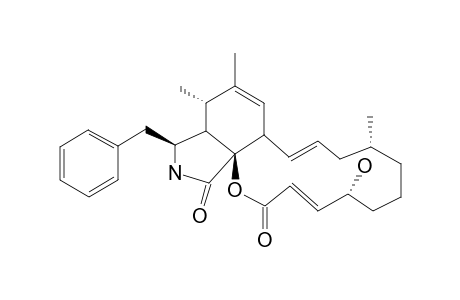 CYTOCHALASIN-T;(7Z,13E,16R,20R,21E)-20-HYDROXY-16-METHYL-10-PHENYL-24-OXA-[14]-CYTOCHALASA-6(7),13,21-TRIENE-1,23-DIONE