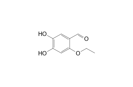 2-Ethoxy-4,5-dihydroxy-benzaldehyde