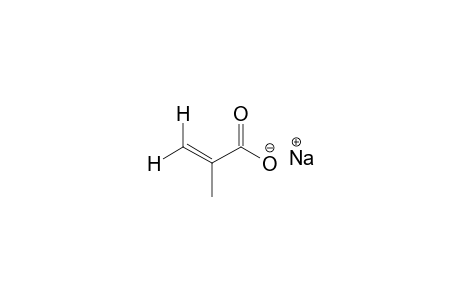 Methacrylic acid sodium salt