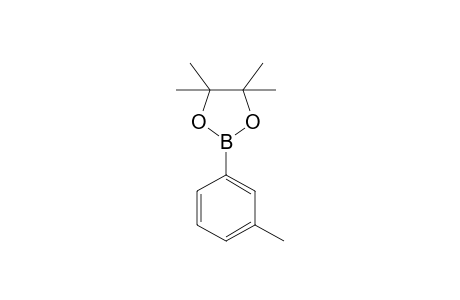 3-(4',4',5','5-TETRAMETHYL-1',3',2'-DIOXABOROLANYL)-TOLUENE