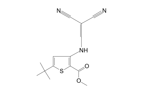 5-tert-butyl-3-[(2,2-dicyanovinyl)amino]-2-thiophenecarboxylic acid, methyl ester