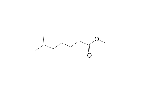 Methyl 6-methyl heptanoate