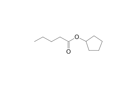 Pentanoic acid cyclopentyl ester