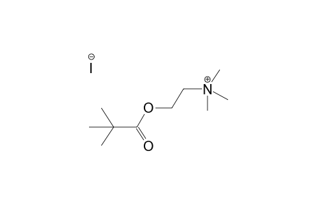 2-(PIVALOYLOXY)ETHYLTRIMETHYLAMMONIUM IODIDE