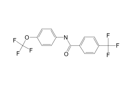 Benzamide, N-(4-trifluoromethoxyphenyl)-4-trifluoromethyl-