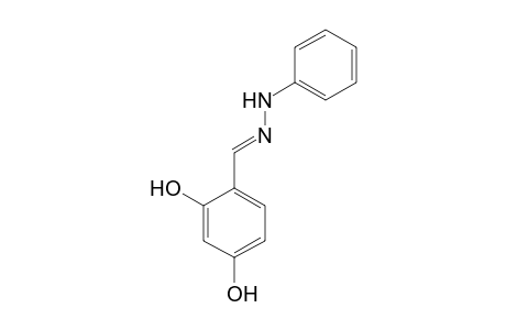 2,4-Dihydroxybenzaldehyde phenylhydrazone