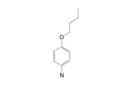 4-Butoxyaniline