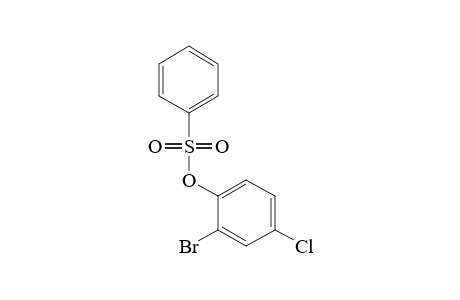 BENZENESULFONIC ACID, 2-BROMO-4-CHLOROPHENYL ESTER