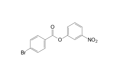 p-Bromobenzoic acid, m-nitrophenyl ester