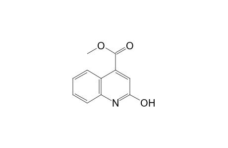 2-keto-1H-quinoline-4-carboxylic acid methyl ester