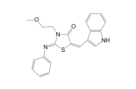 (2Z,5E)-5-(1H-indol-3-ylmethylene)-3-(2-methoxyethyl)-2-(phenylimino)-1,3-thiazolidin-4-one