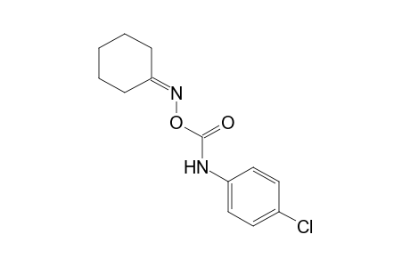 cyclohexanone, O-[(p-chlorophenyl)carbanoyl]oxime