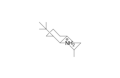 2a-Methyl-8a-tert-butyl-trans-decahydro-quinolinium cation
