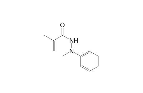 2-Propenoic acid, 2-methyl-, 2-methyl-2-phenylhydrazide