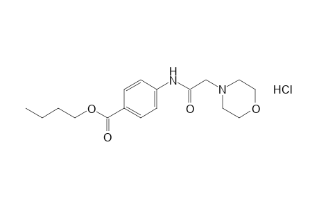p-(2-morpholinoacetamido)benzoic acid, butyl ester, hydrochloride