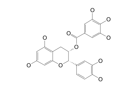 3-O-GALLOYL-(-)-EPICATECHIN
