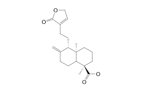 ENT-LABD-8(17),13-DIEN-18-OIC-ACID-16,15-OLIDE