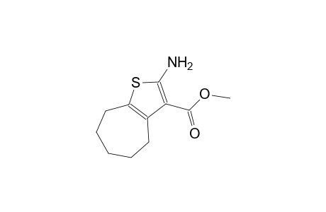 methyl 2-amino-5,6,7,8-tetrahydro-4H-cyclohepta[b]thiophene-3-carboxylate