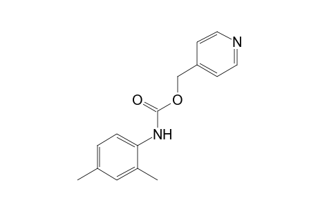 2,4-dimethylcarbanilic acid, (4-pyridyl)methyl ester