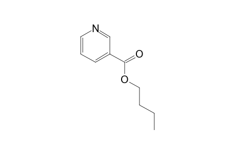 nicotinic acid, butyl ester