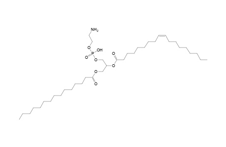 PE 15:0_18:1