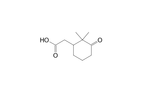 Cyclohexaneacetic acid, 2,2-dimethyl-3-oxo-