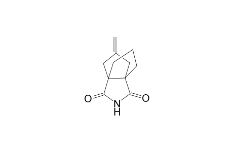 7-methylene-3-azatricyclo[3.3.3.0(1,5)]undeca-2,4-dione