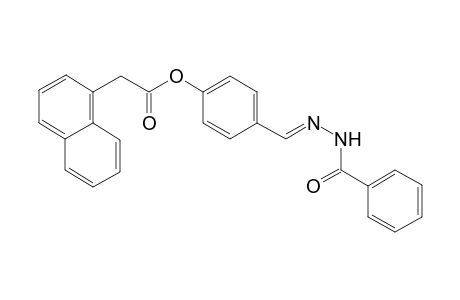 1-naphthaleneacetic acid, 4-[(E)-(2-benzoylhydrazono)methyl]phenyl ester