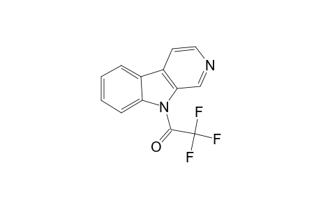 Norharmane, N-trifluoroacetyl-