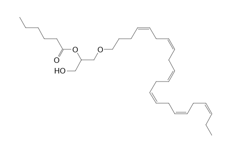 DG O-22:6_6:0