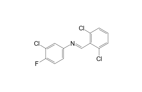 3-chloro-N-(2,6-dichlorobenzylidene)-4-fluoroaniline