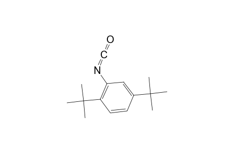 2,5-Di-tert-butylphenyl isocyanate