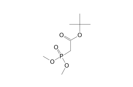 phosphonoacetic acid, 1-tert-butyl dimethyl ester