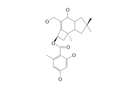 ARMILLYL ORSELLINATE