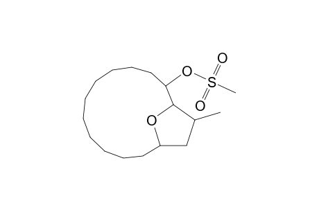 15-Methyl-16-oxabicyclo[11.2.1]hexadec-2-yl methanesulfonate