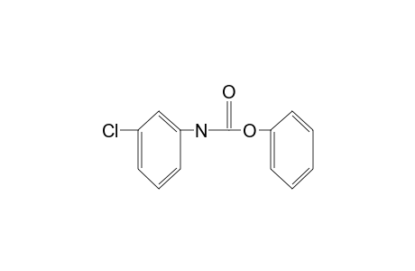 m-chlorocarbanilic acid, phenyl ester