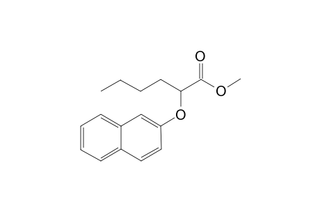 2-(2-Naphthyloxy)hexanoic acid methyl esters