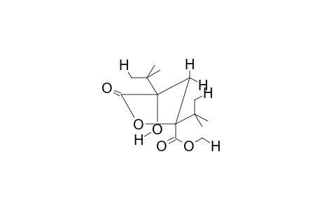 CIS-2-HYDROXY-2,4-DI-TERT-BUTYL-GAMMA-BUTYROLACTONE-4-CARBOXYLIC ACID,METHYL ESTER