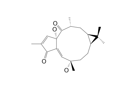 15-EPI-4E-JATROGROSSIDENTADION