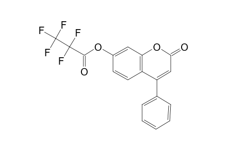 7-Hydroxy-4-phenylcoumarin, pentafluoropropionate