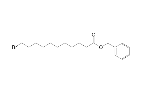 11-bromoundecanoic acid, benzyl ester