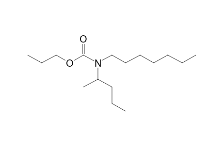 Carbonic acid, monoamide, N-(2-pentyl)-N-heptyl-, propyl ester