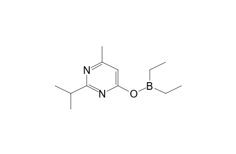 2-Isopropyl-6-methyl-4-pyrimidinyl diethylborinate